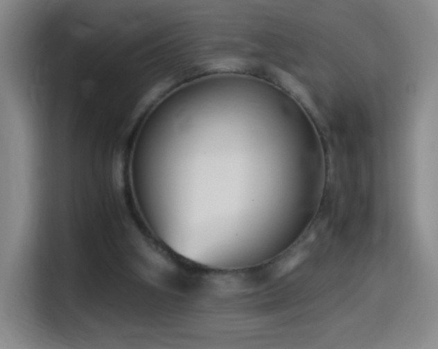 X0000114540106200910191350