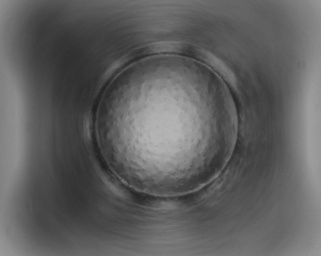 X0000114540107200910191350