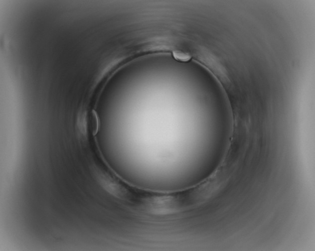 X0000114540108200910191350