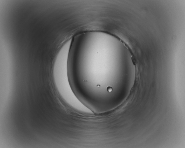 X0000114540109200910191350