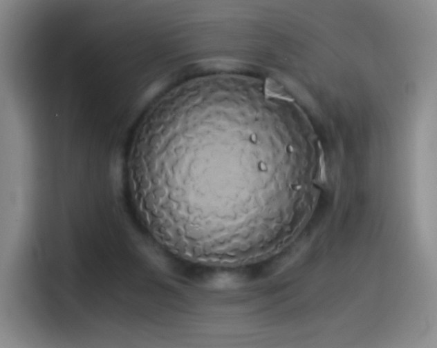 X0000114540111200910191350