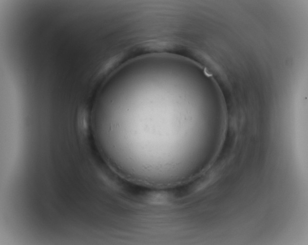 X0000114540115200910191349