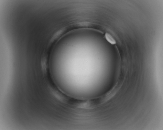 X0000114540116200910191349