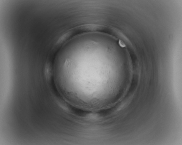 X0000114540119200910191349