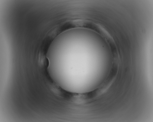 X0000114540125200910191349