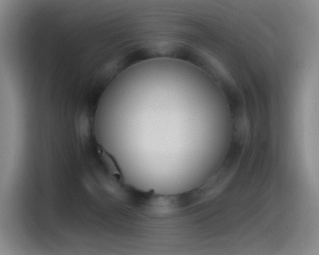 X0000114540126200910191349