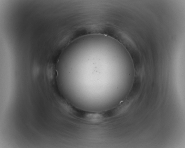 X0000114540133200910191349