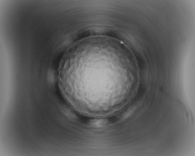 X0000114540135200910191349