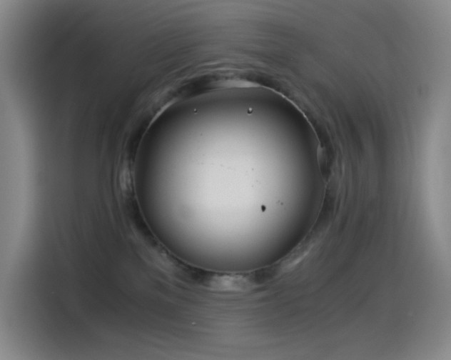 X0000114540137200910191349