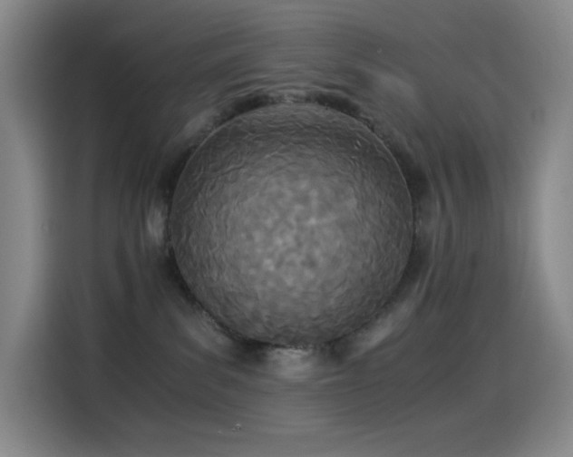 X0000114540139200910191349