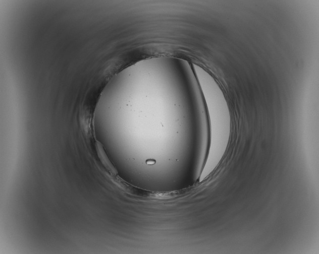 X0000114540141200910191349