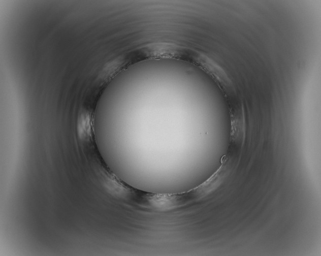 X0000114540142200910191349