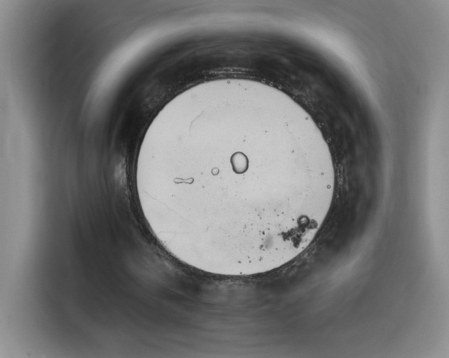 X0000114540146200910191348