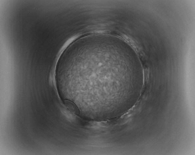 X0000114540147200910191348