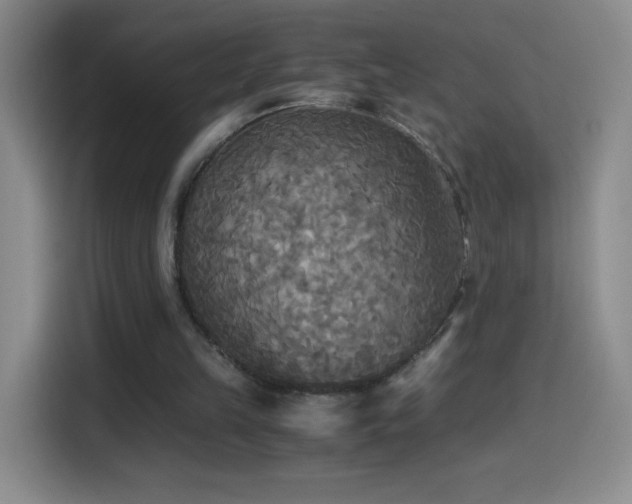 X0000114540149200910191349