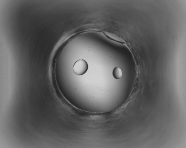 X0000114540150200910191349