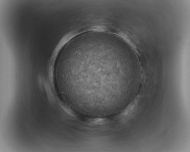 X0000114540151200910191349