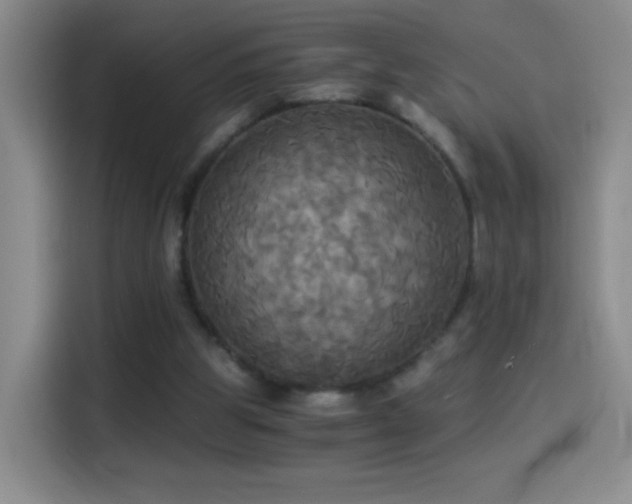 X0000114540153200910191349