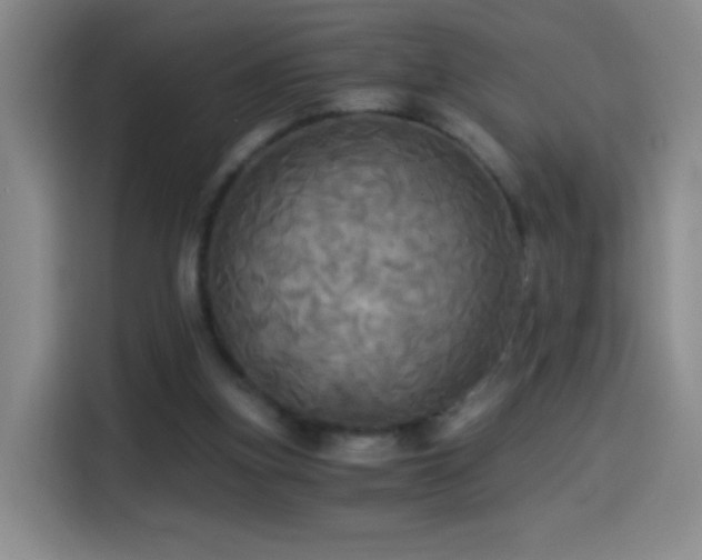 X0000114540155200910191349