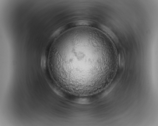 X0000114540157200910191349