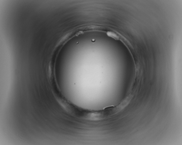 X0000114540158200910191349