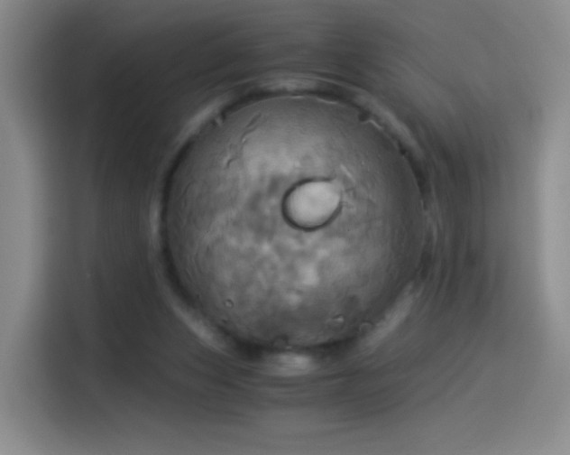 X0000114540159200910191349