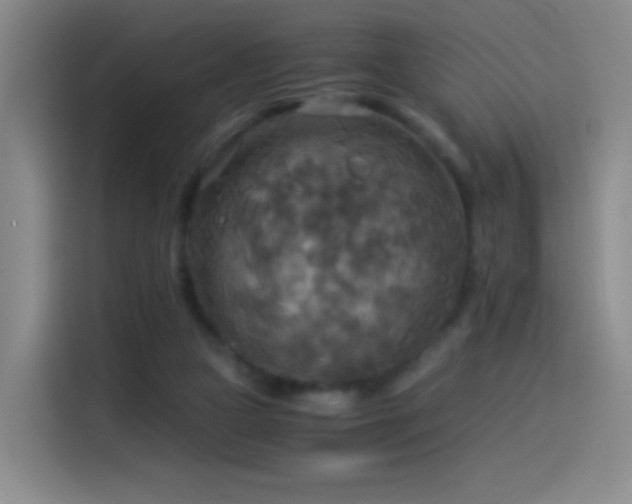 X0000114540161200910191349