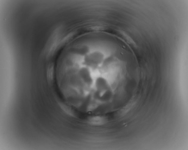 X0000114540163200910191349