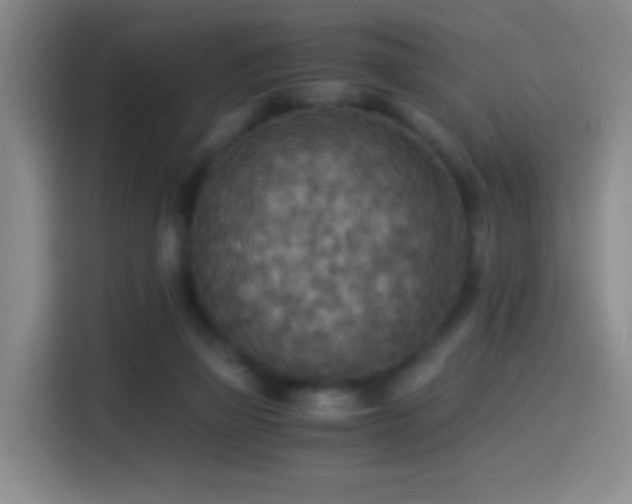 X0000114540165200910191349