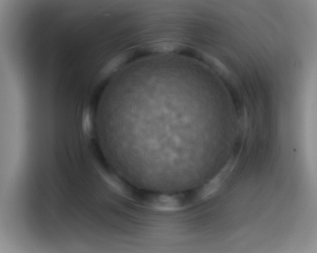 X0000114540166200910191349