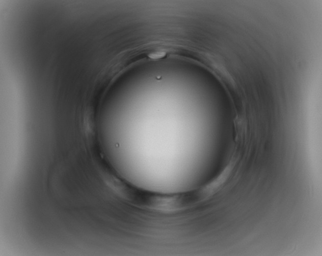 X0000114540170200910191349