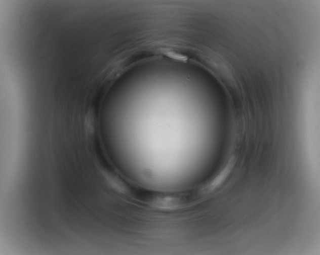 X0000114540174200910191349