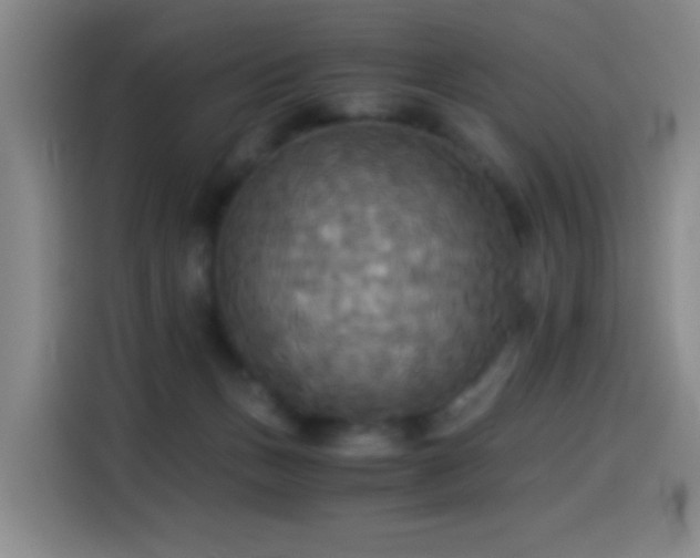 X0000114540175200910191349