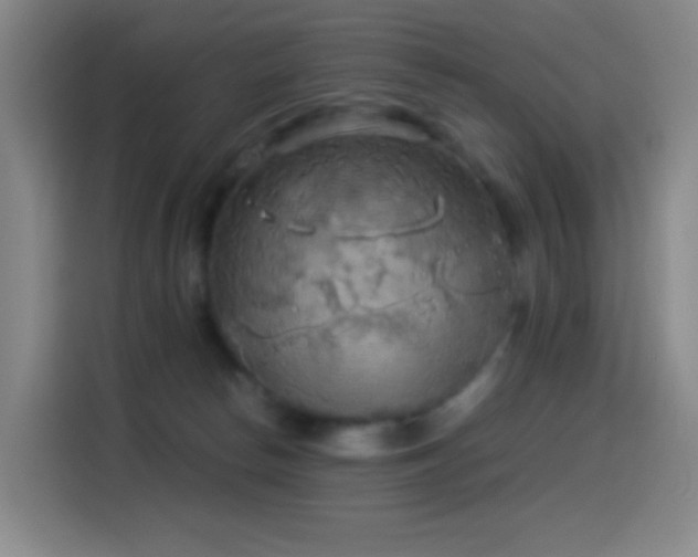 X0000114540178200910191349