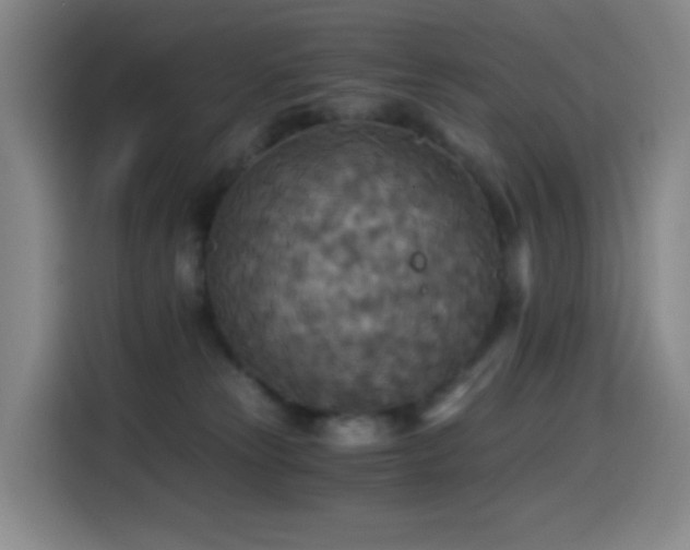 X0000114540181200910191349