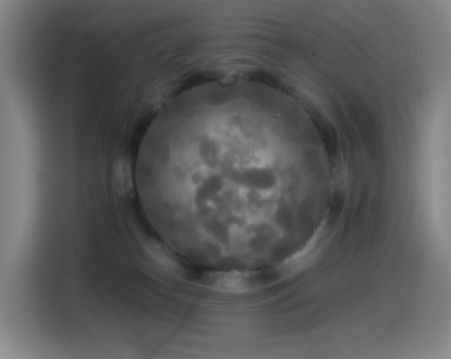 X0000114540182200910191349