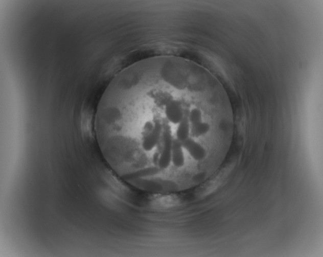 X0000114540185200910191349