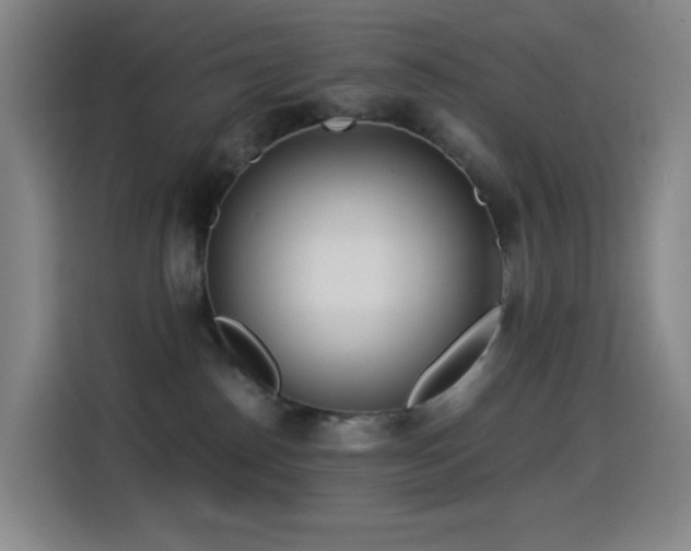 X0000114540186200910191349