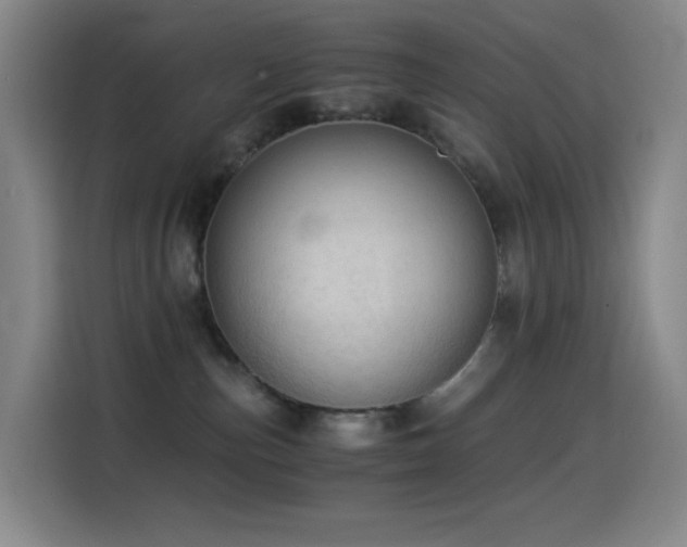 X0000114540187200910191349