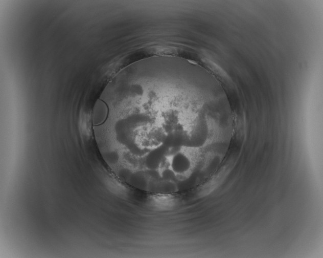 X0000114540189200910191349