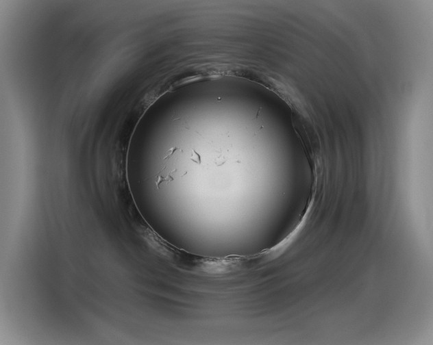 X0000114540190200910191349