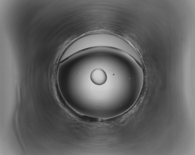 X0000114540193200910191348