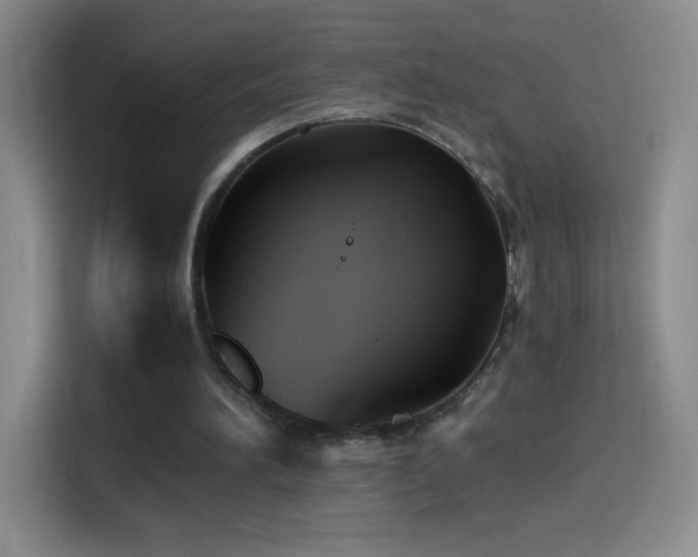 X0000114540196200910191348