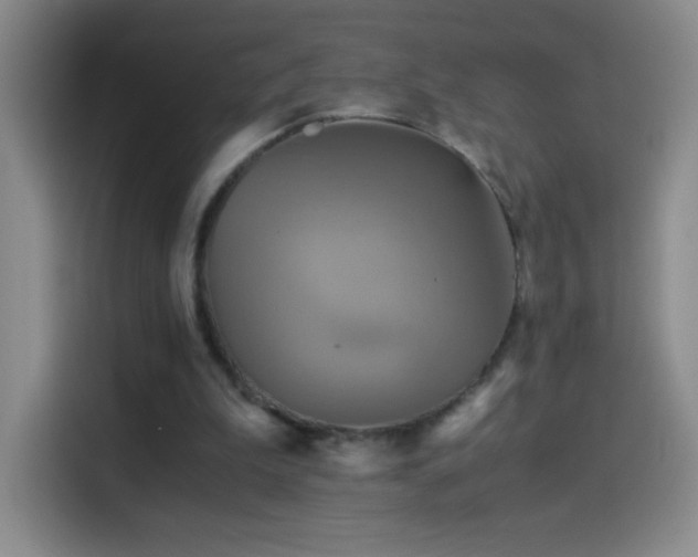 X0000114540199200910191348