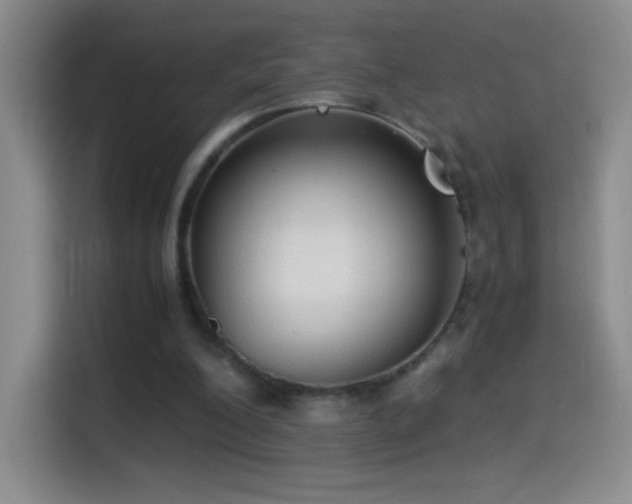 X0000114540200200910191348