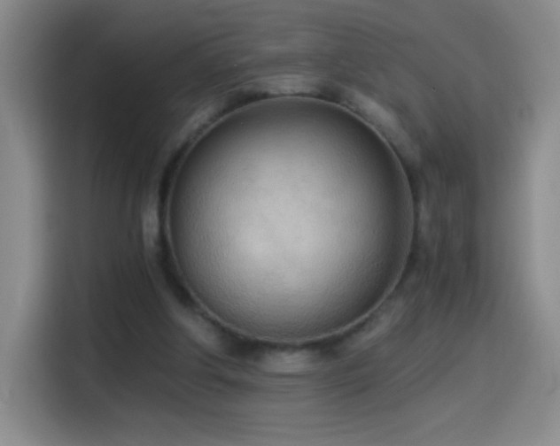 X0000114540202200910191348