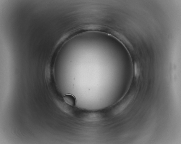 X0000114540204200910191348