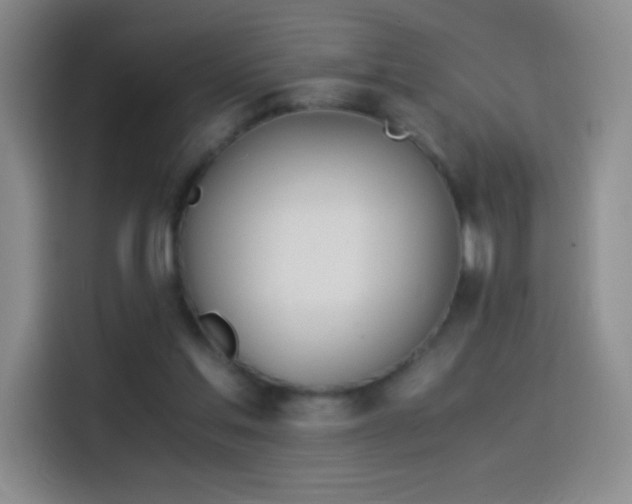 X0000114540205200910191348