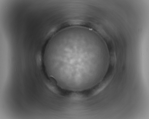 X0000114540207200910191348