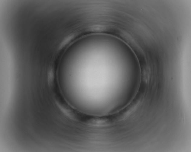 X0000114540208200910191348